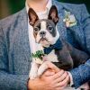 Tips for Planning a Pet-Friendly Wedding